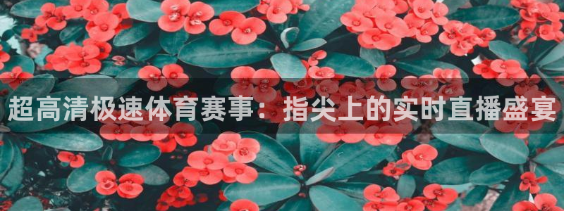 球友体育官网：超高清极速体育赛事：指尖上的实时直播盛宴