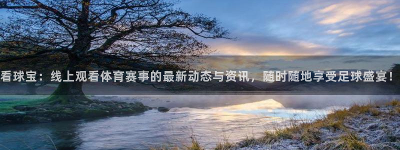 qy球友会体育网站：看球宝：线上观看体育赛事的最新动态与资讯，随时随地享受足球盛宴！