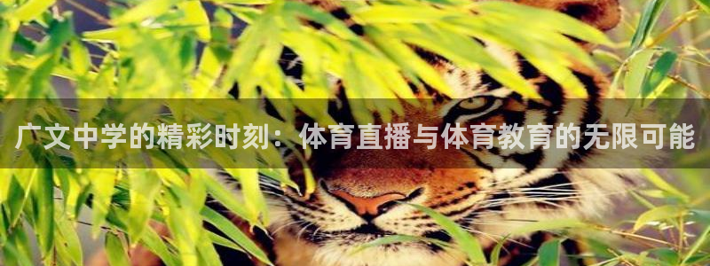 球友体育：广文中学的精彩时刻：体育直播与体育教育的无限可能