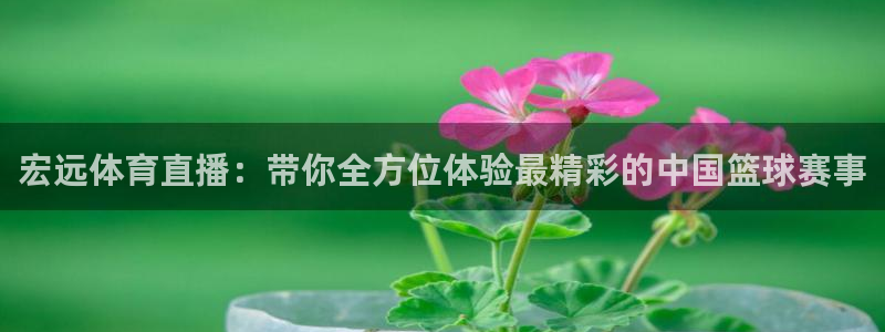 球友直播在线：宏远体育直播：带你全方位体验最精彩的中国篮球赛事