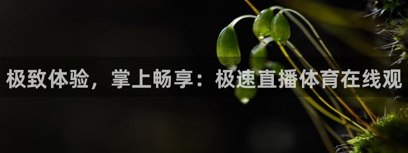 球友直播在线直播：极致体验，掌上畅享：极速直播体育在线观