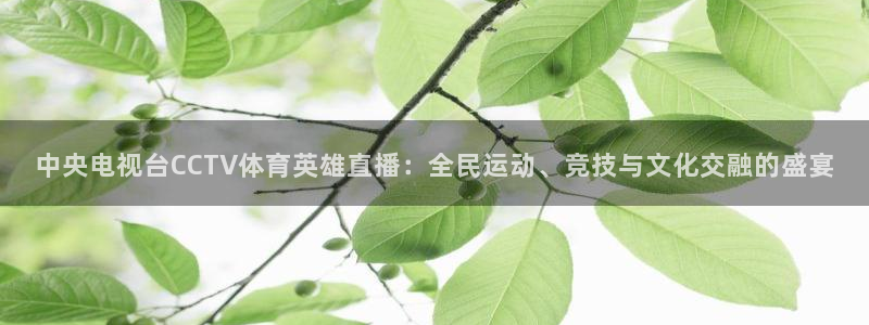 qy球友会体育网站：中央电视台CCTV体育英雄直播：全民运动、竞技与文化交融的盛宴